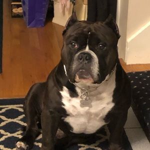 Meet your Posher, Nick